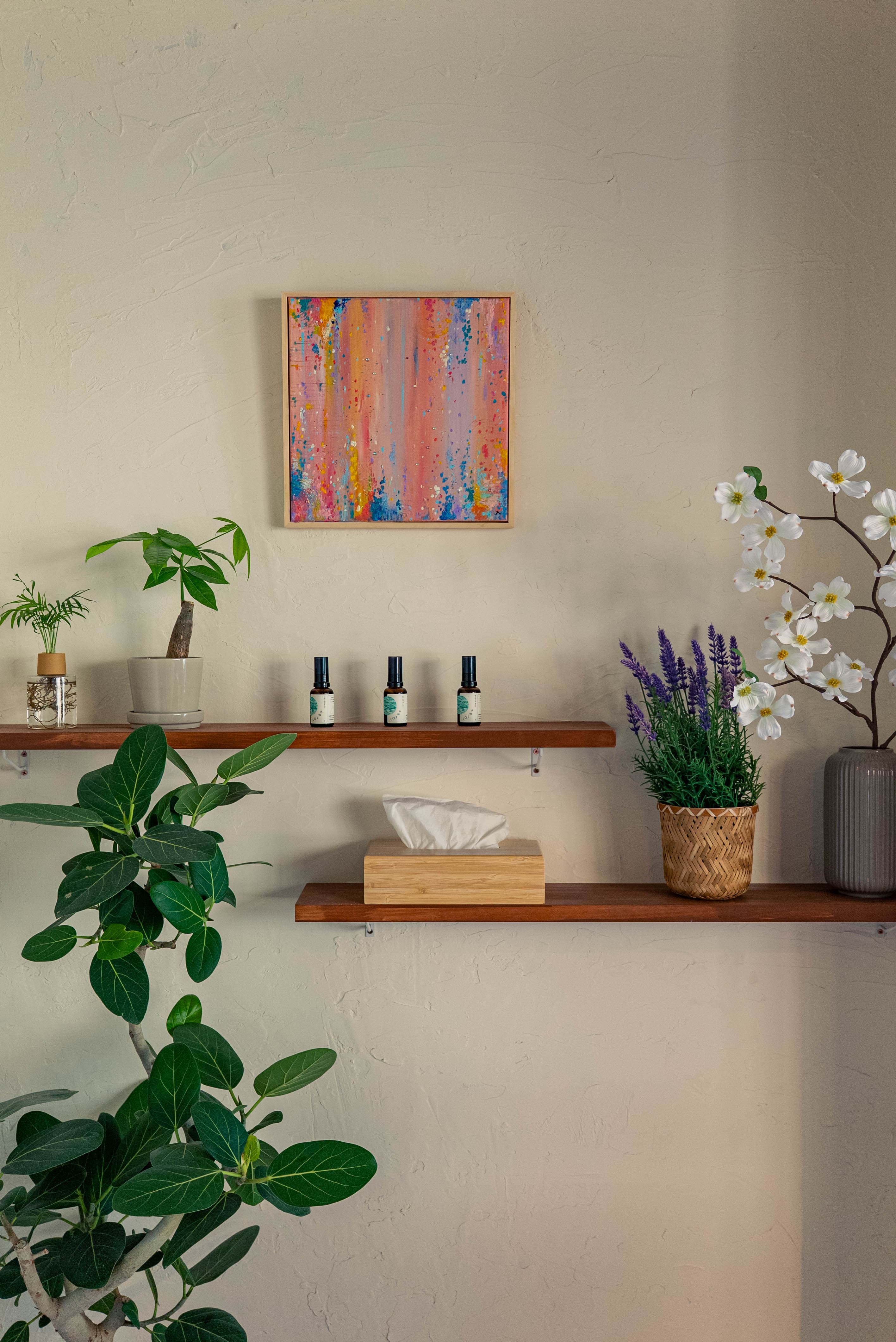 TSUTSUMU店内の棚、アートと観葉植物、エッセンシャルオイル